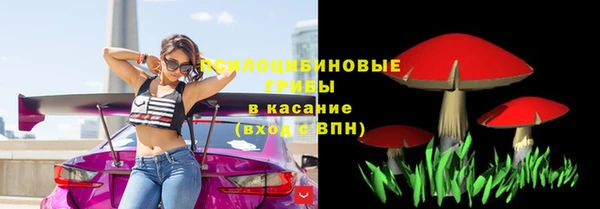spice Абинск