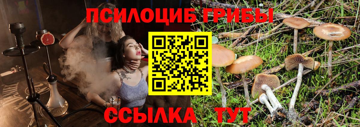 Екатеринбург  Галлюциногенные грибы прущие грибы  Вход с VPN  Галлюциногенные грибы ЛСД 